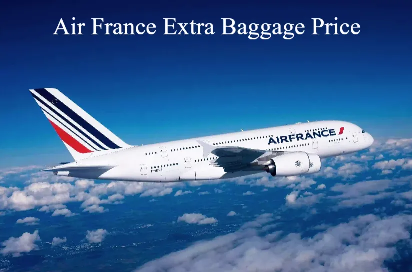 Air France Extra Baggage Price