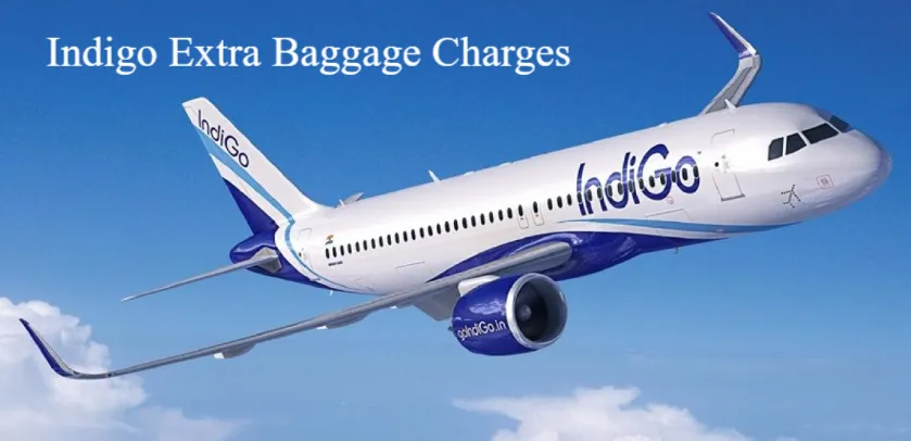 Indigo Extra Baggage Charges 