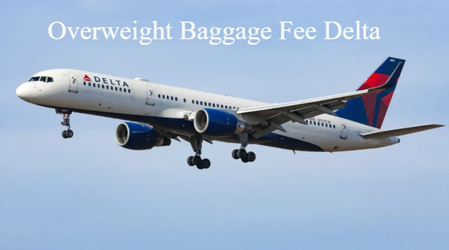 Overweight Baggage Fee Delta