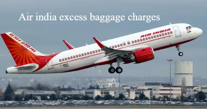 Air India Extra Baggage Charges