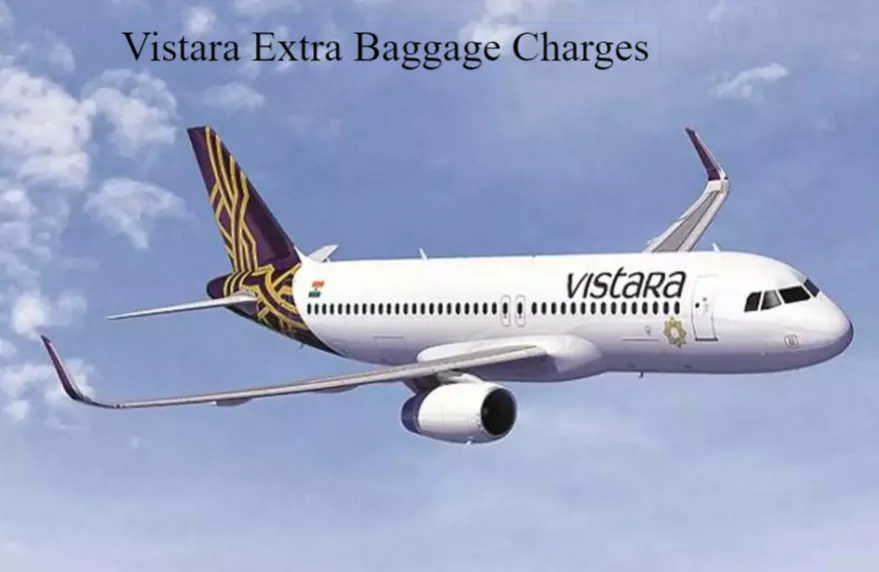 vistara extra baggage charges